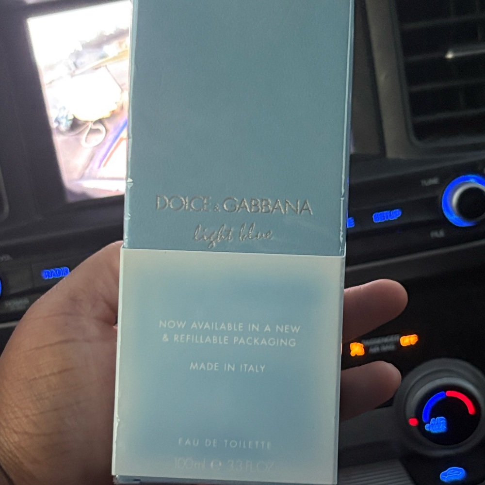 Dolce & Gabbana Light Blue Car Accessory in Pale Blue